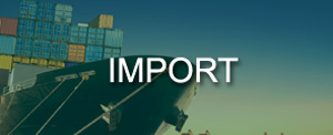 IMPORT GTM